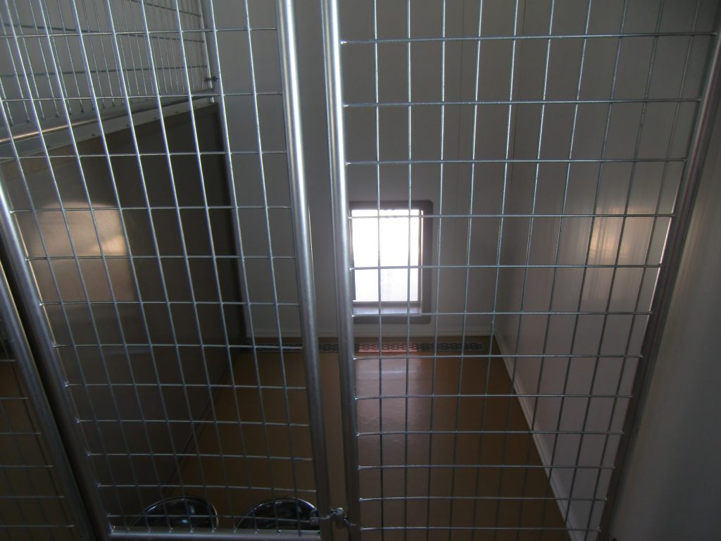 Interior of New Kennels